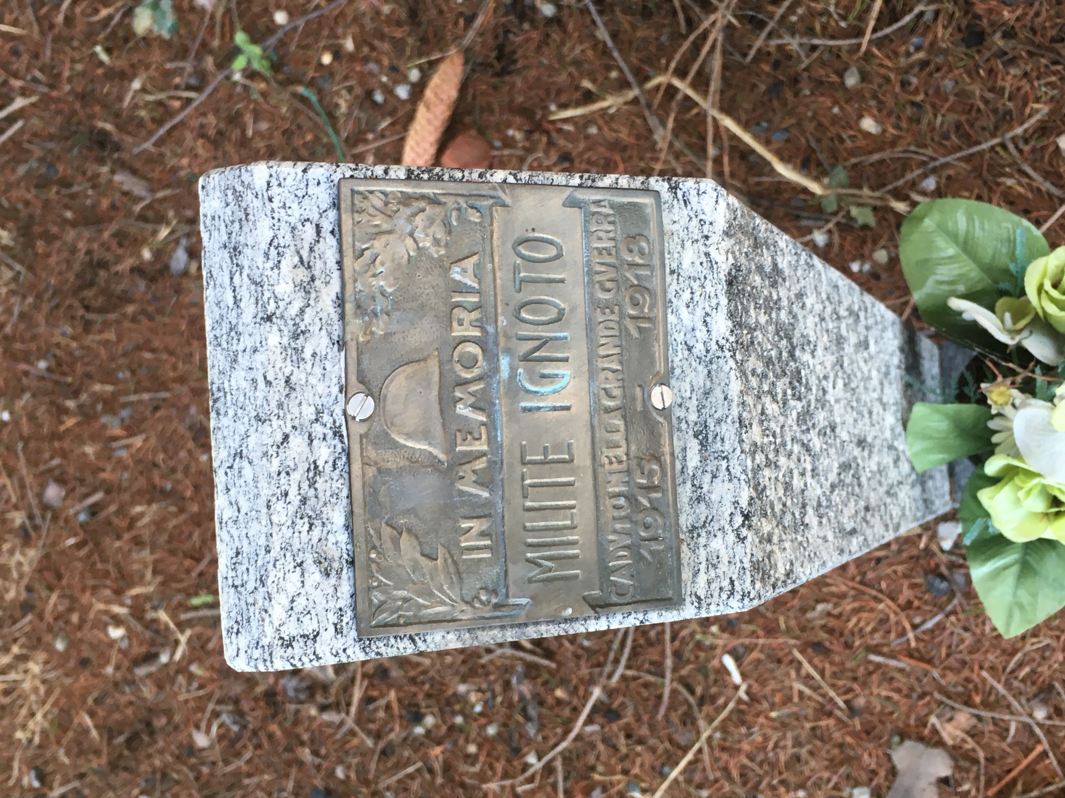 f montaldo.jpg